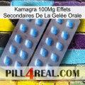 Kamagra 100Mg Effets Secondaires De La Gelée Orale viagra4